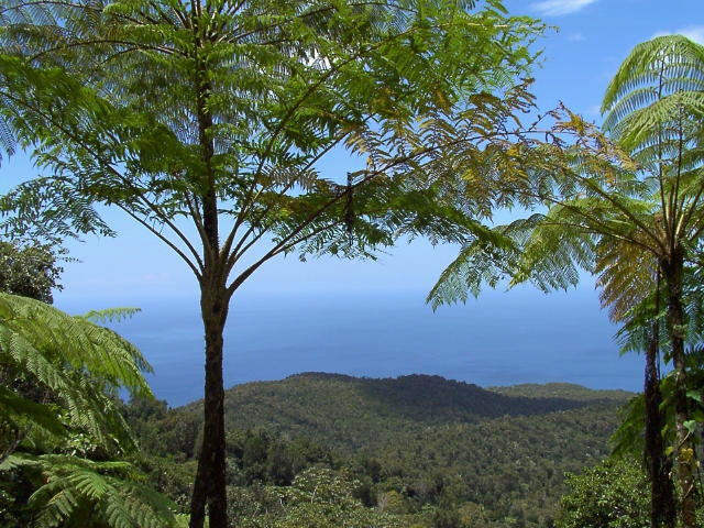 Guadeloupe : Basse-Terre (avril 2002)