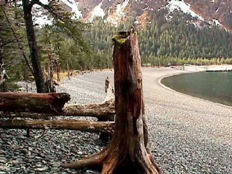 Fox Island (Alaska)