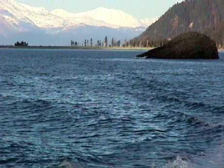 Fox Island (Alaska)