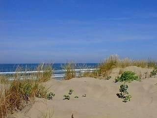 Les dunes de l'île d'Oléron (1998)