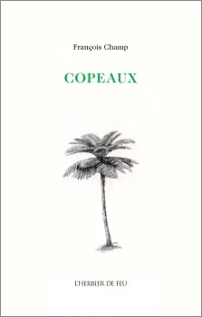 François Champ : Copeaux