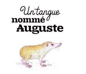 Un tangue nommé Auguste