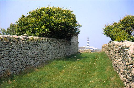 Ouessant (juin 1996)