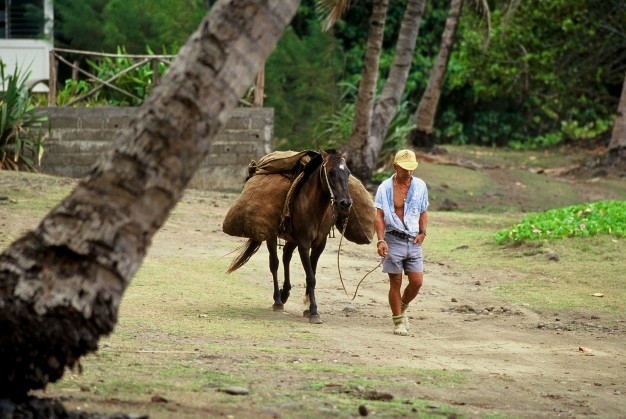 Hiva Oa (îles Marquises), Taaoa (octobre 1994)